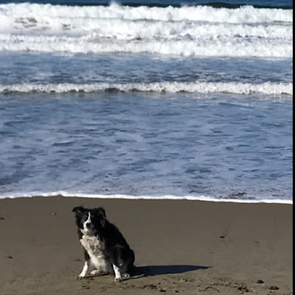 Meet your Posher, Jessica - Picture 1 of 1